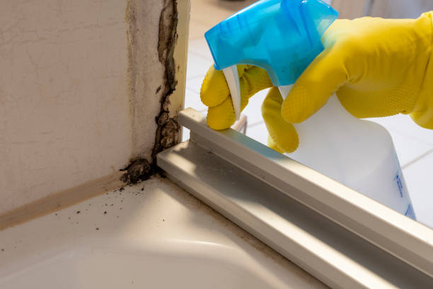 Best Commercial Mold Removal  in Darnestown, MD