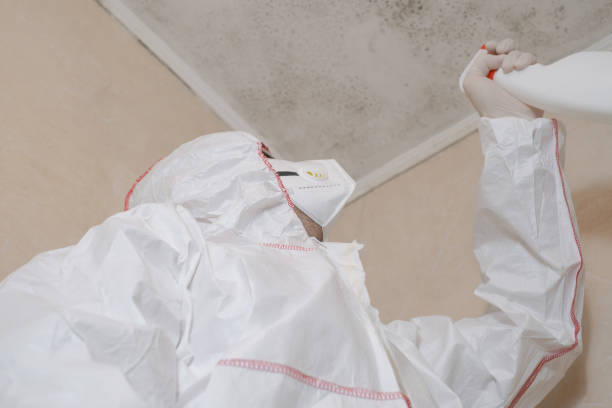 Best Emergency Mold Removal  in Darnestown, MD