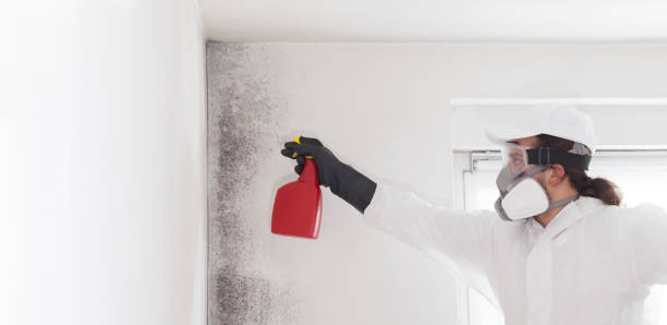 Best Commercial Mold Removal  in Darnestown, MD